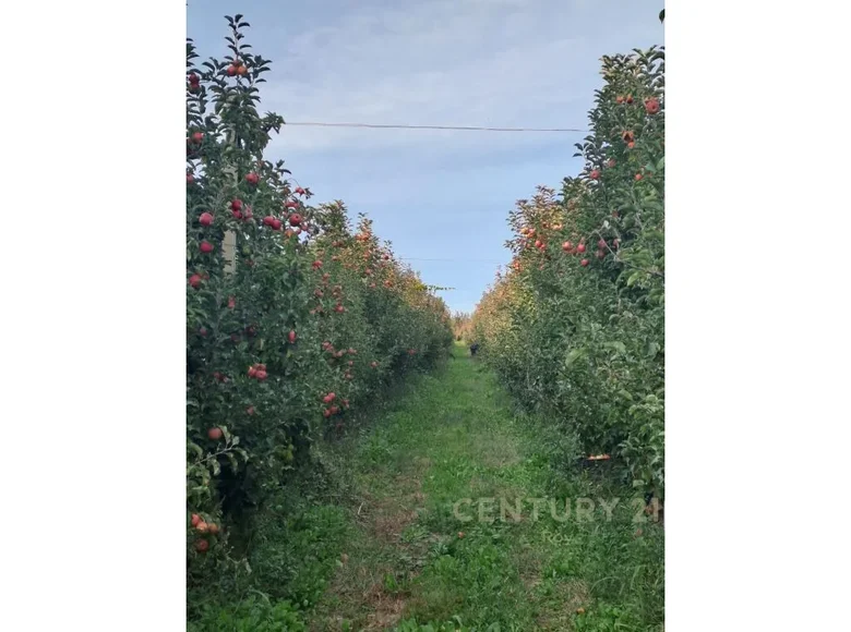 Grundstück  Kryevidh, Albanien