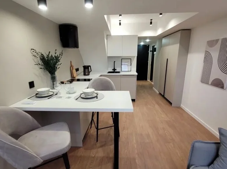 Estudio 24 m² San Petersburgo, Rusia