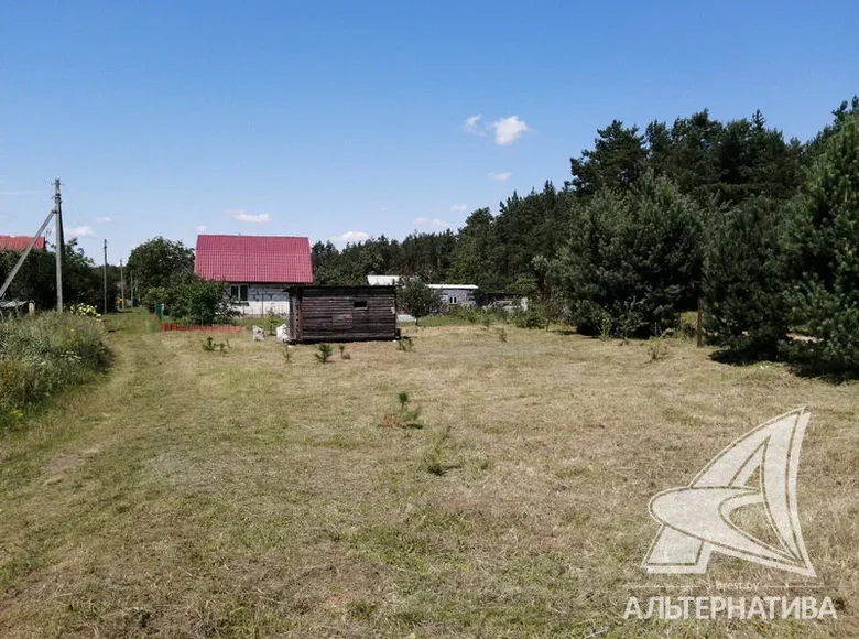 Maison  Znamienski siel ski Saviet, Biélorussie