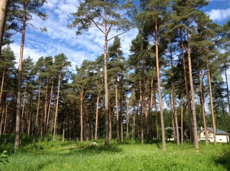 Działki 4 568 m² Jurmała, Łotwa