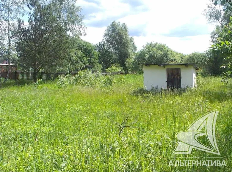 House  Znamienski sielski Saviet, Belarus