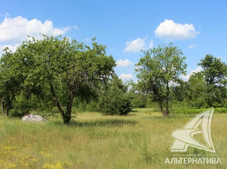 Land 125 m² Znamienski sielski Saviet, Belarus