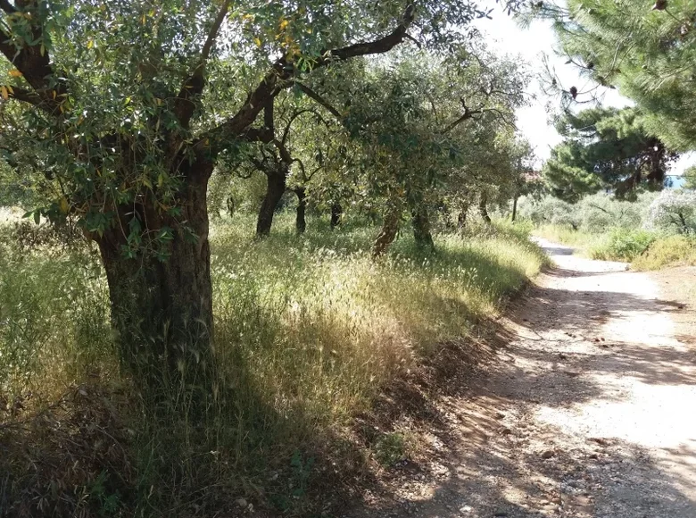 Land  Skala Rachoniou, Greece