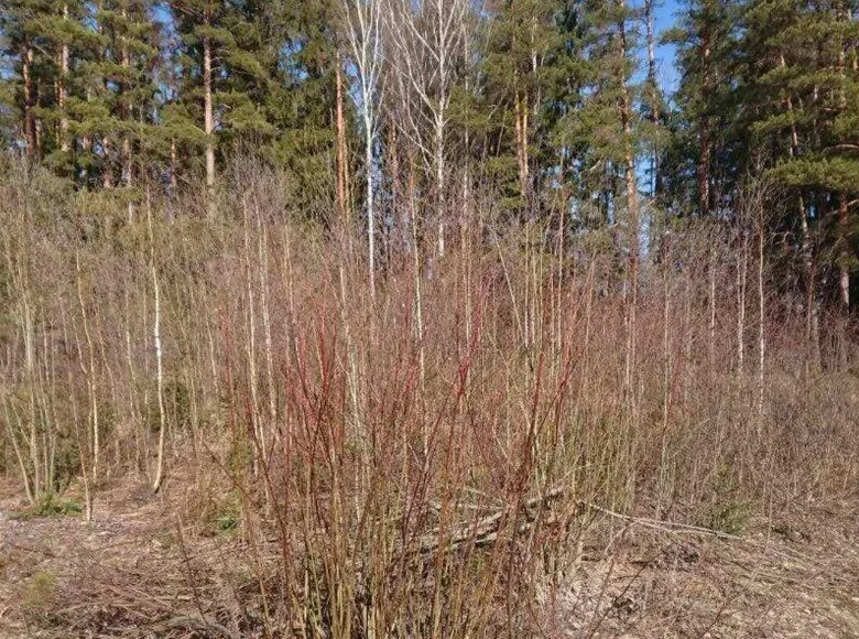 Grundstück  Kalodziscanski selski Savet, Belarus