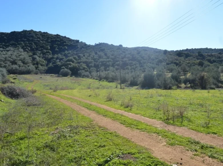 Land 7 600 m² Peloponnese Region, Greece