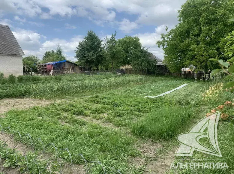 Land  Vialikija Matykaly, Belarus