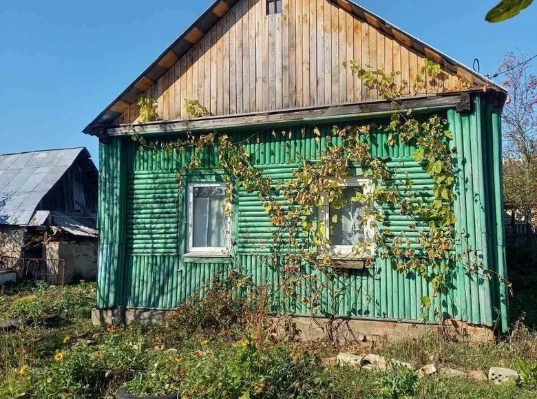 Haus 39 m² Babrujsk, Weißrussland