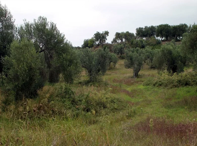 Atterrir 1 chambre  Skala Fourkas, Grèce