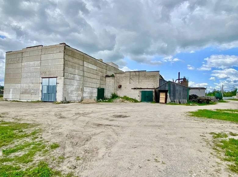 Almacén 2 611 m² en Lyepyel, Belarús