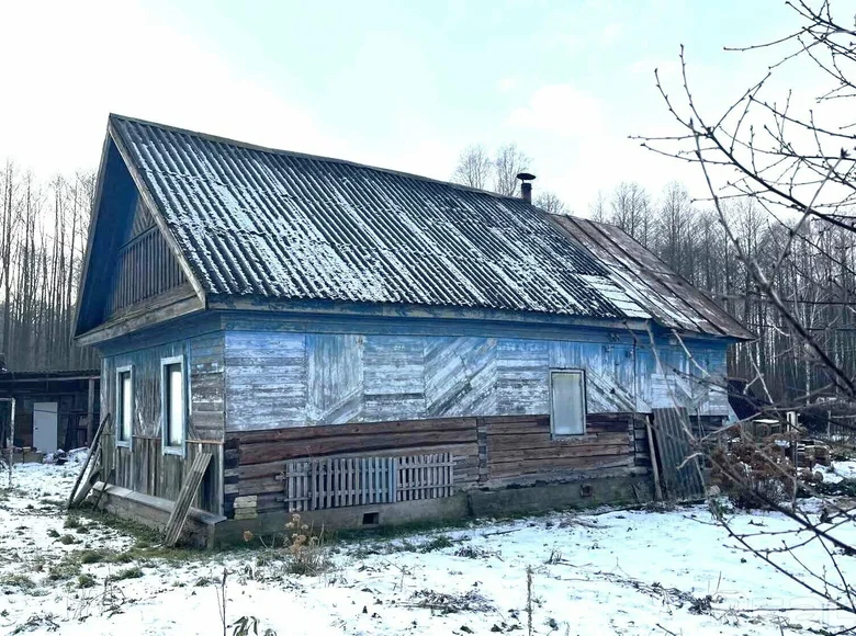 Haus 74 m² Pijanier, Weißrussland