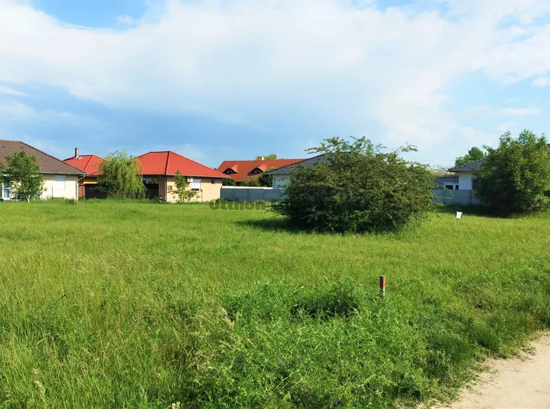 Grundstück 1 501 m² Halasztelek, Ungarn