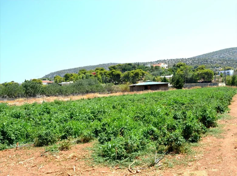 Parcelas 1 habitación  Municipality of Vari - Voula - Vouliagmeni, Grecia