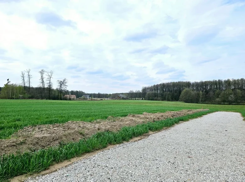 Atterrir 6 941 m² Konarskie, Pologne