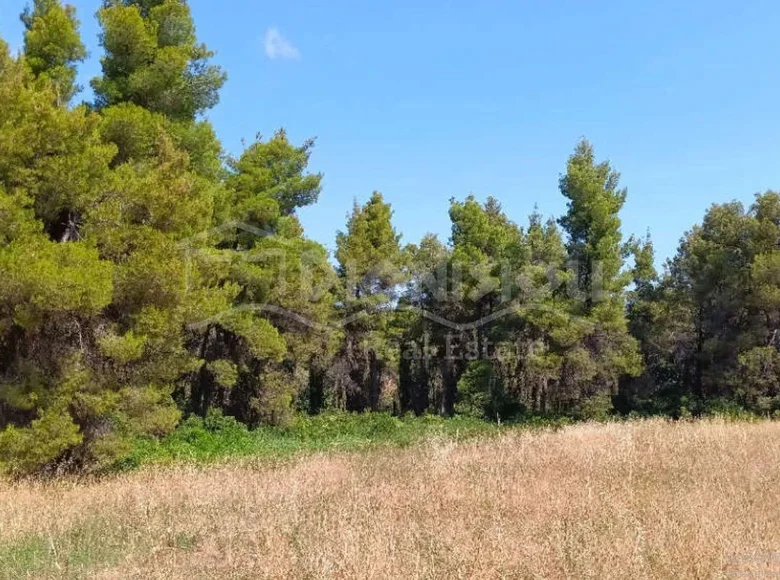 Land 12 000 m² Siviri, Greece