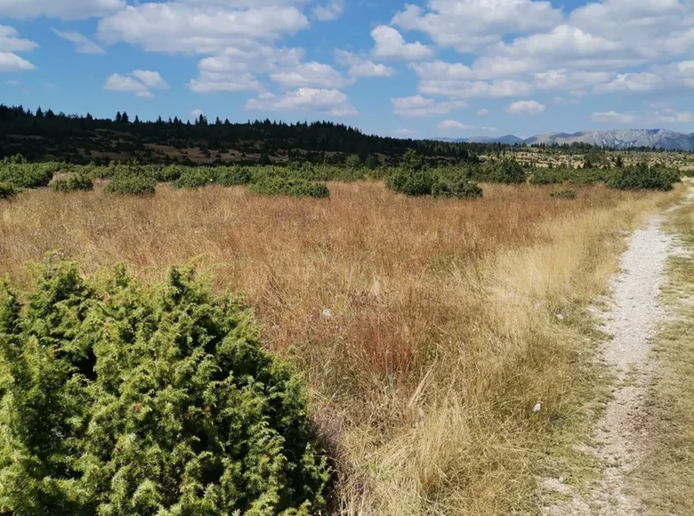 Land  Zabljak, Montenegro