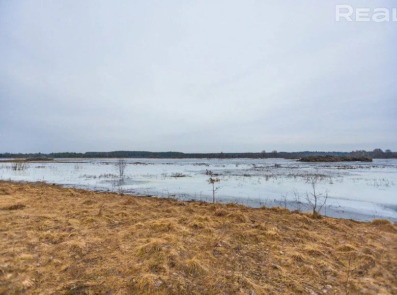 Land  Mikalajeuscynski sielski Saviet, Belarus