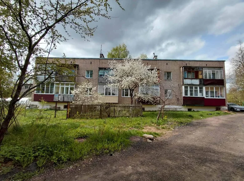 2 room apartment 51 m² Haradzishcha, Belarus