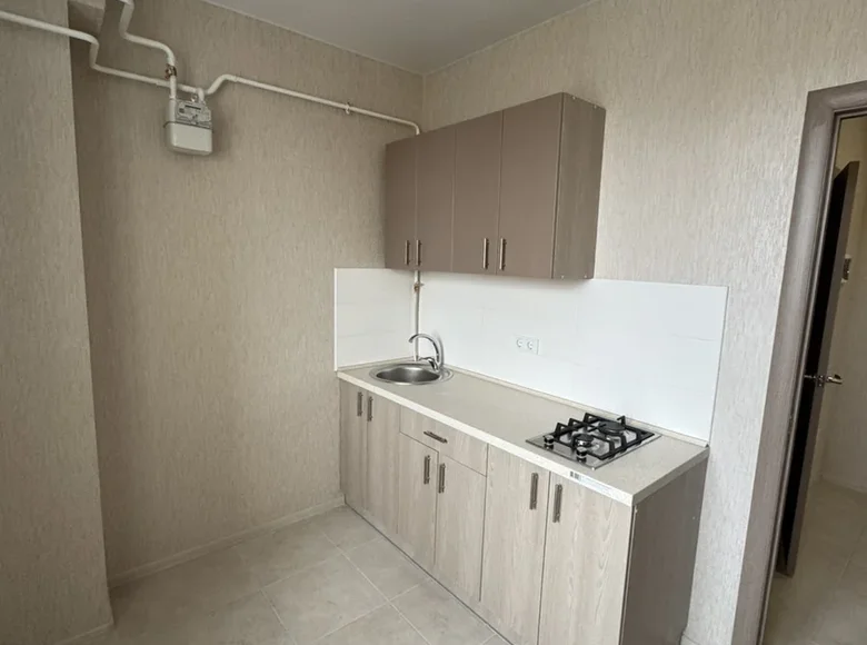 Appartement 1 chambre 33 m² Avanhard, Ukraine