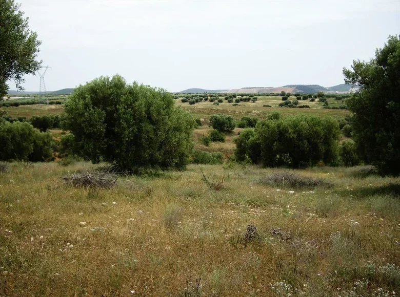 Parcelas 1 habitación  Polygyros, Grecia