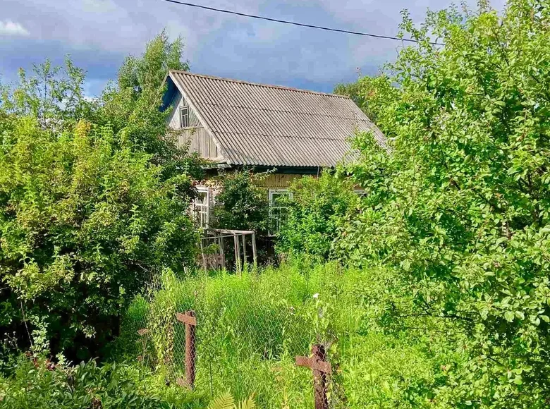 Haus 49 m² Wizebsk, Weißrussland