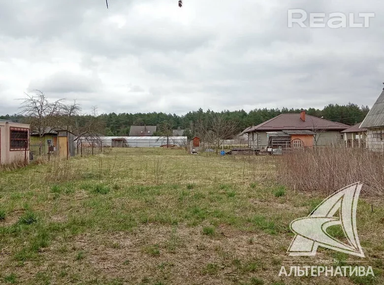 Land  Brest, Belarus