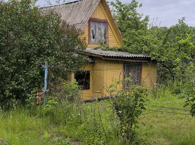 Dom 36 m² Aliachnovicki sielski Saviet, Białoruś