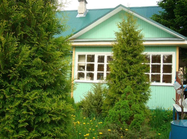 3 room house 96 m² Mginskoe gorodskoe poselenie, Russia