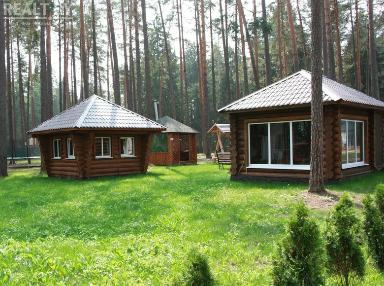 Commercial property 370 m² in Babruysk District, Belarus