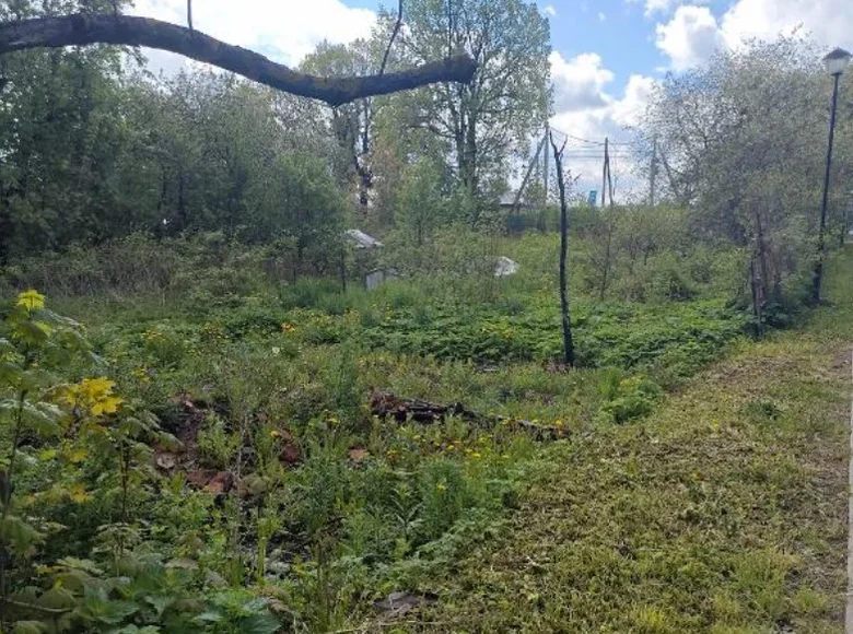 Parcelas  Penikovskoe selskoe poselenie, Rusia