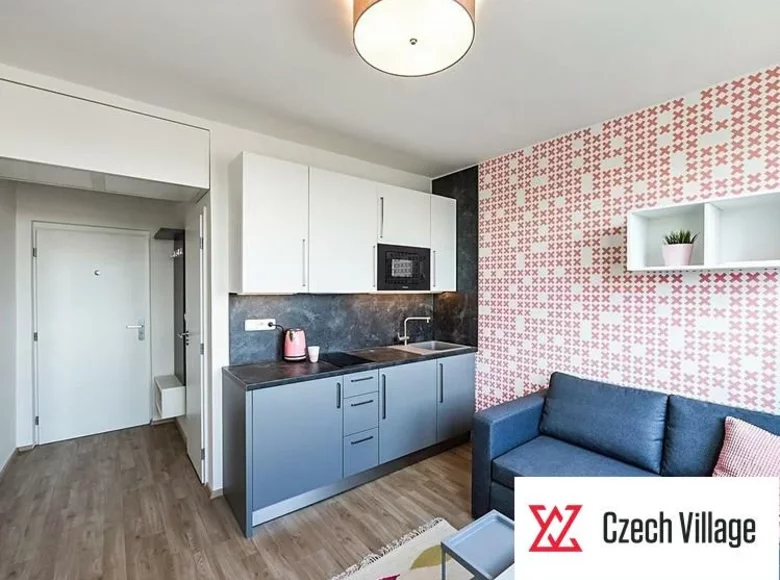 Apartamento 1 habitación 31 m² Praga, República Checa
