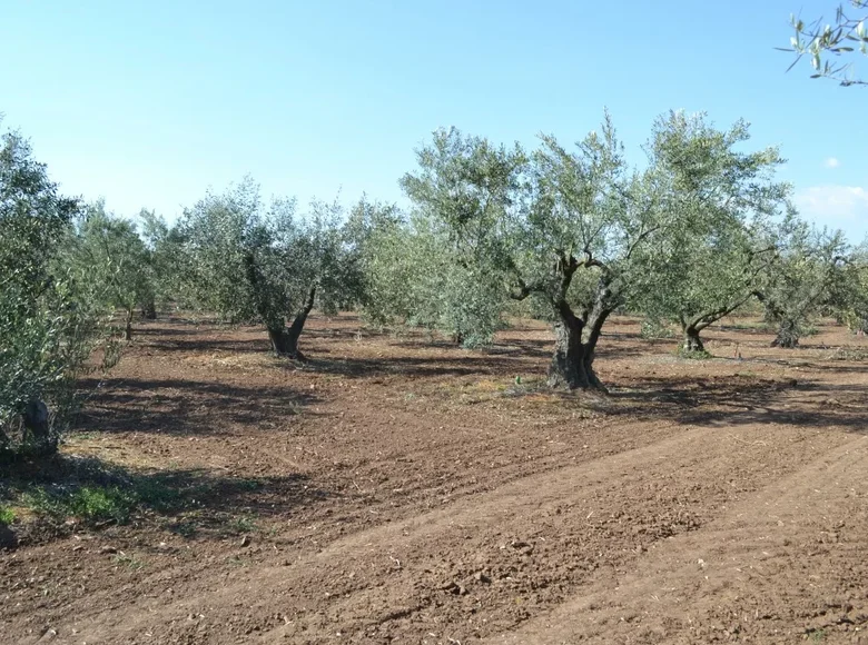 Land 1 room  Sozopoli, Greece