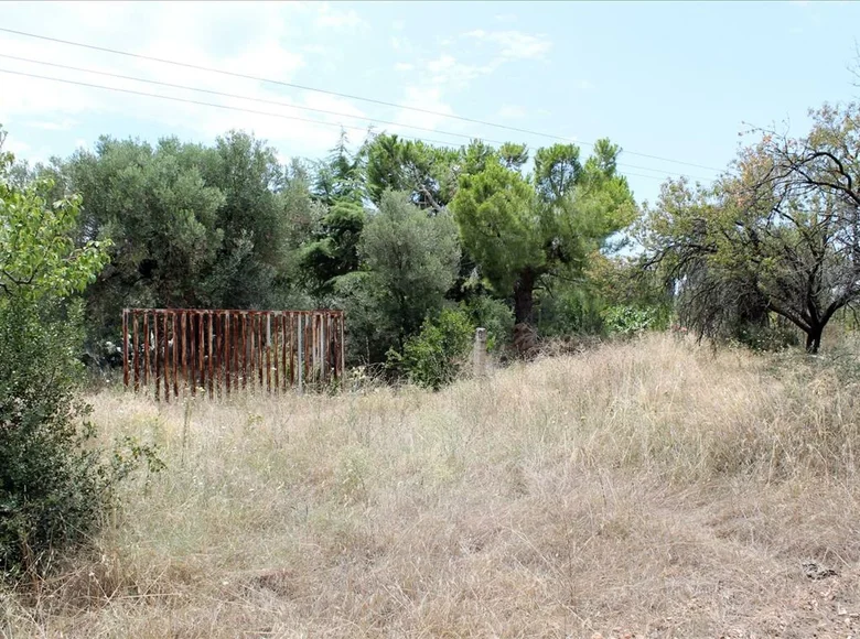 Land 1 room  Gerakini, Greece