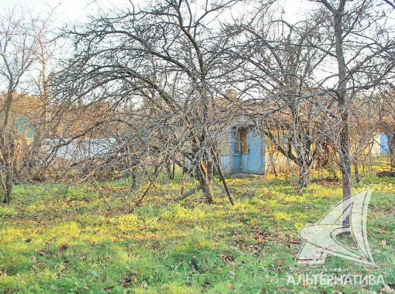 Land  Muchaviecki sielski Saviet, Belarus