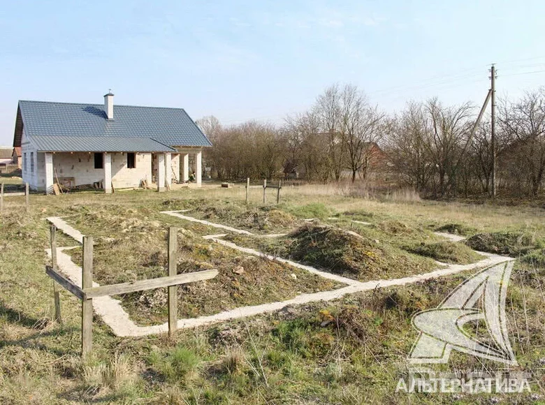 Land 123 m² Novyja Lyscycy, Belarus