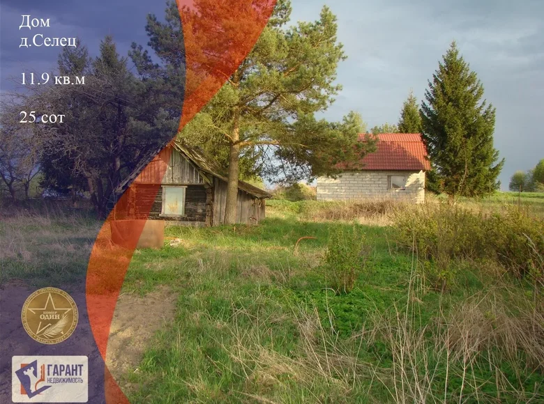 Maison 12 m² Lasanski selski Savet, Bélarus