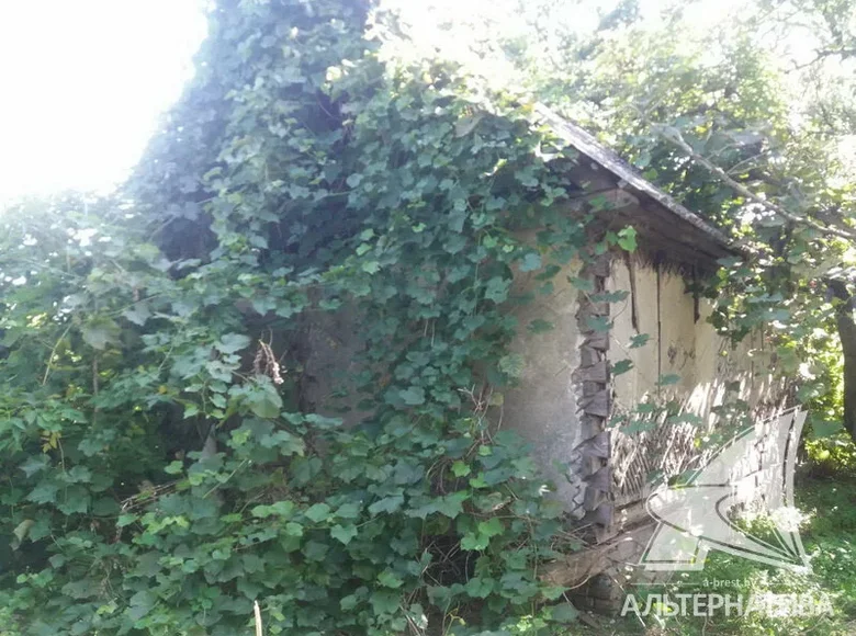 Haus 28 m² Kamarouka, Weißrussland