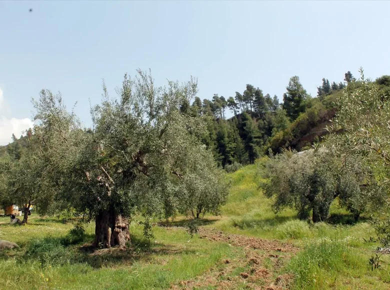 Atterrir 1 chambre  Agia Paraskevi, Grèce