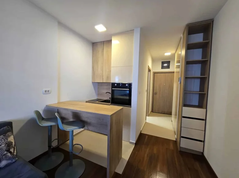 Studio apartment 262 m² Montenegro, Montenegro