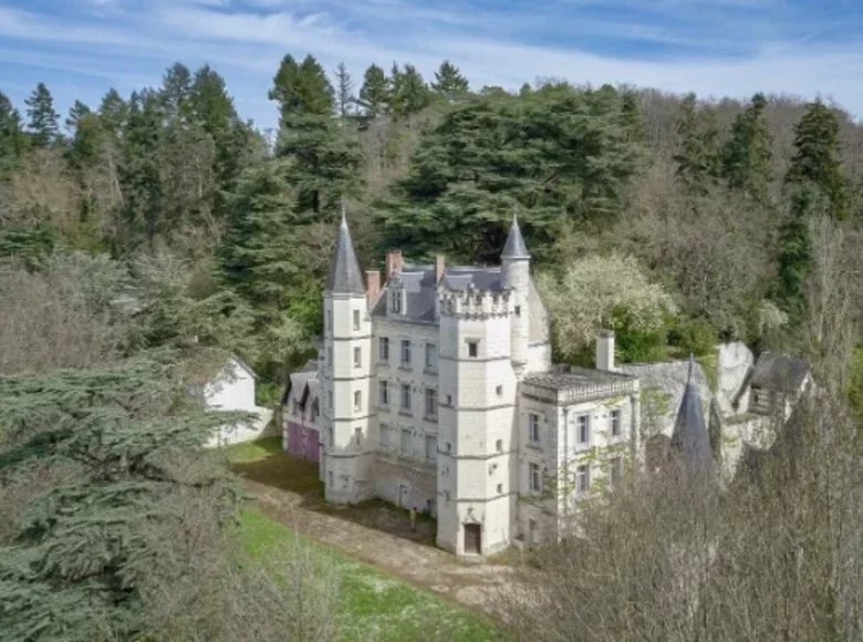 Замок 7 спален 450 м² Tours, Франция