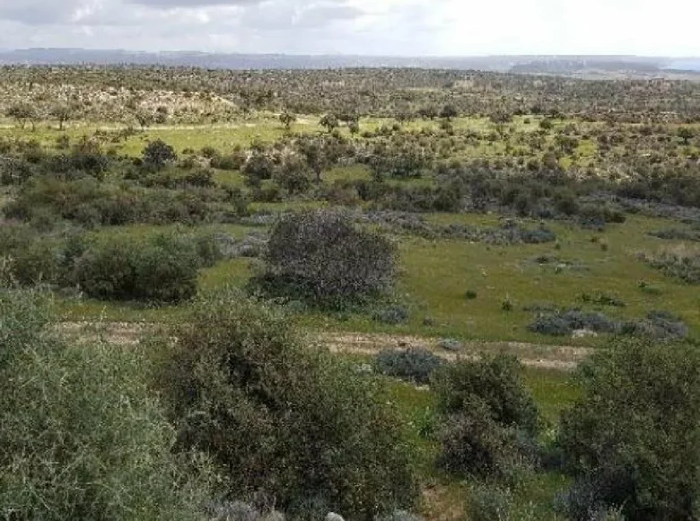 Działki  Pissouri, Cyprus