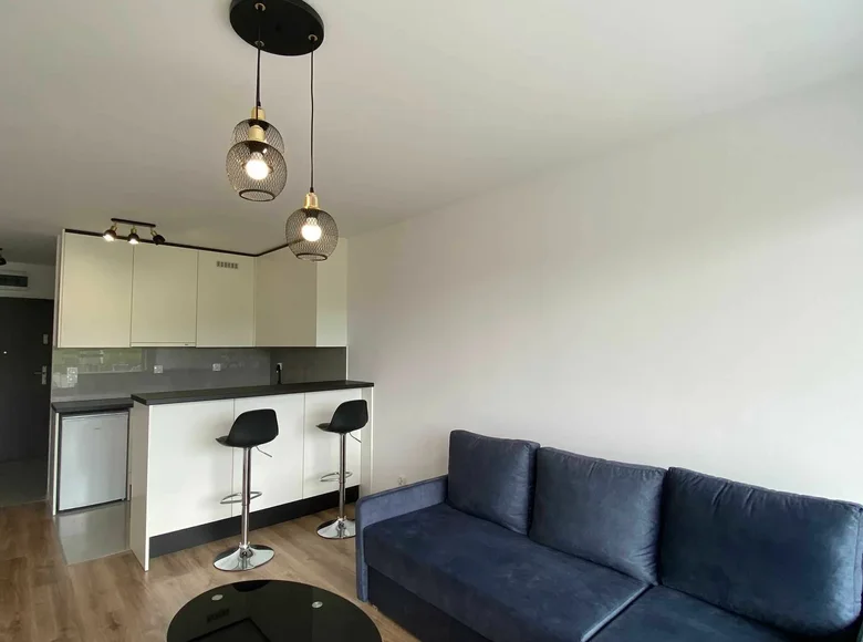 Appartement 1 chambre 31 m² en Cracovie, Pologne