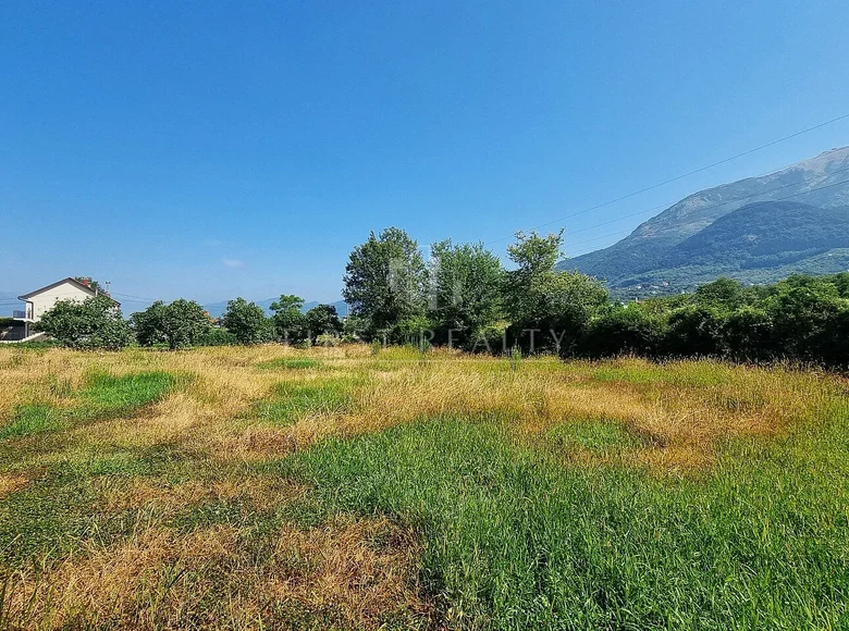 Land  Pelinovo, Montenegro