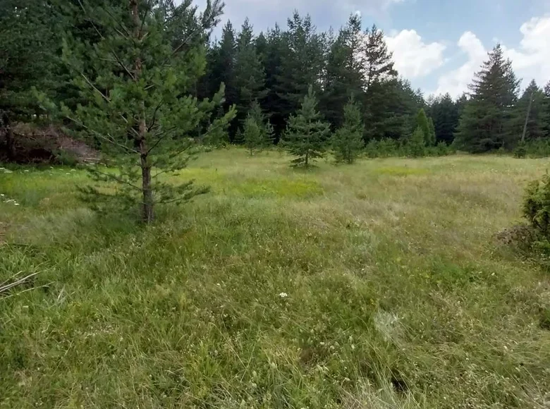 Land  Zabljak, Montenegro