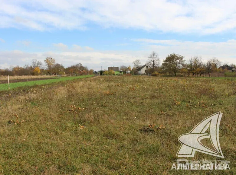 Land  Turna Vialikaja, Belarus