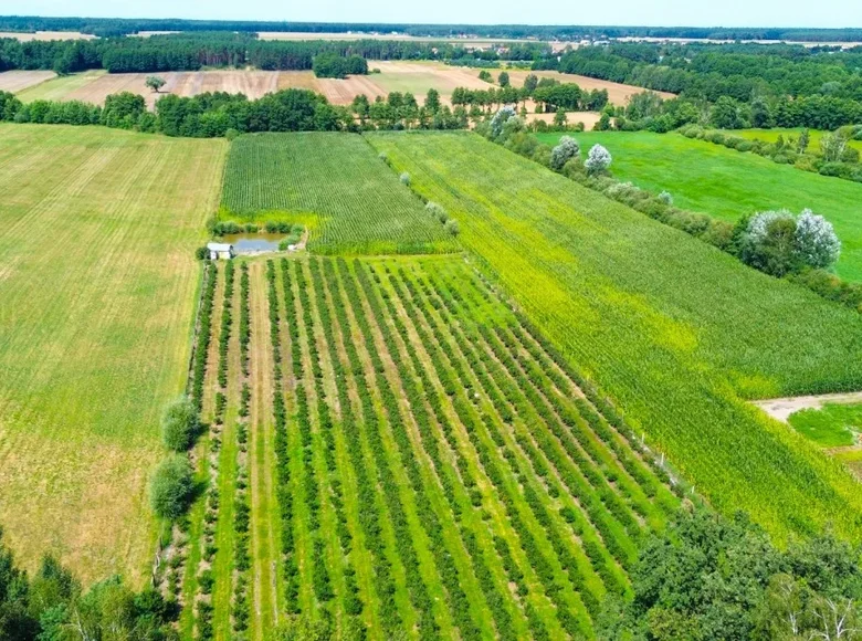 Atterrir 28 000 m² Radzewice, Pologne