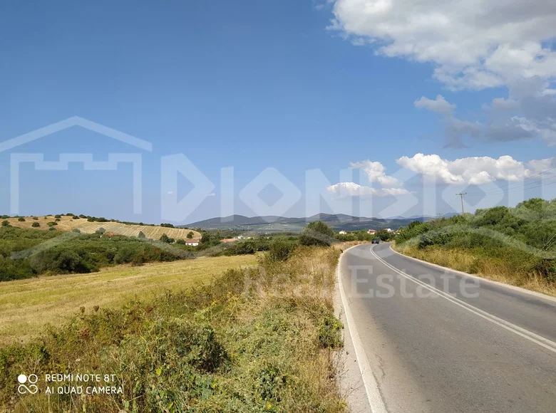 Land 12 500 m² Elassona Municipality, Greece