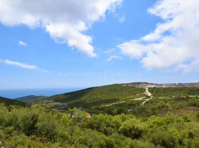 Land 12 500 m² Montenegro, Montenegro