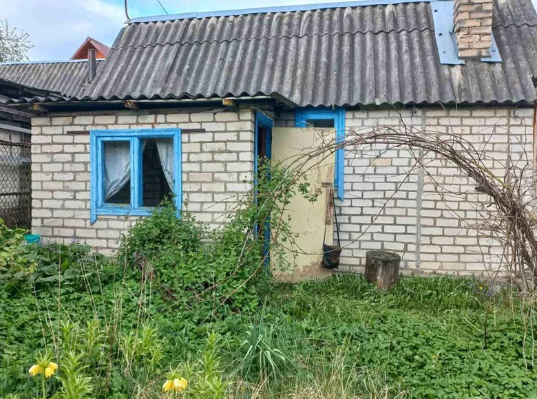 Haus 15 m² Haranski sielski Saviet, Belarus