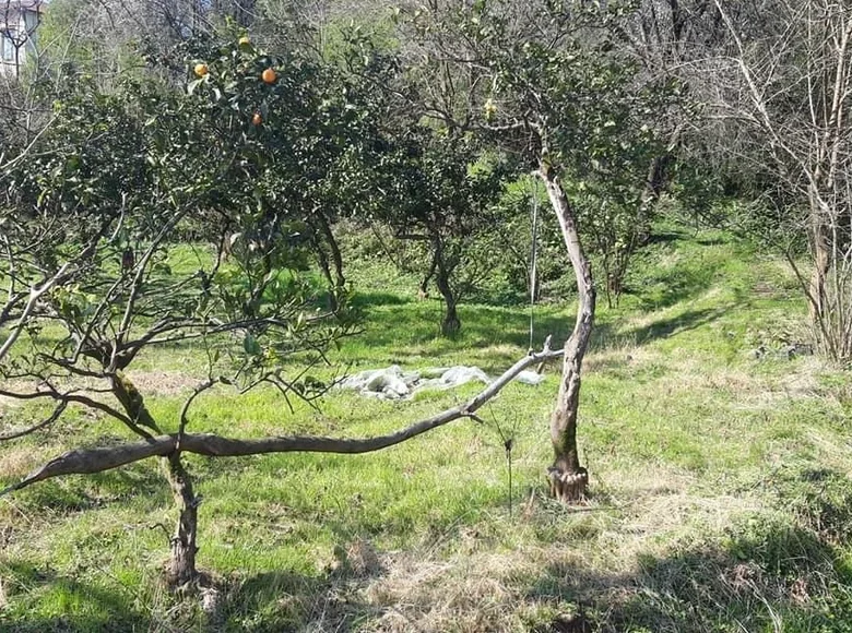 Land  Chakvi, Georgia