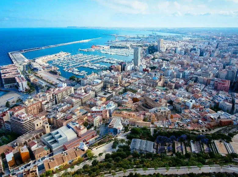 Nieruchomości komercyjne 11 519 m² Alicante, Hiszpania